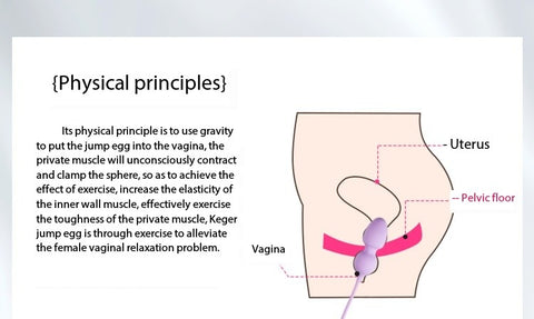 D044- Best Trans Sex Toy:Kegel vaginal exercises Pelvic floor muscle repair exercises for women shemale